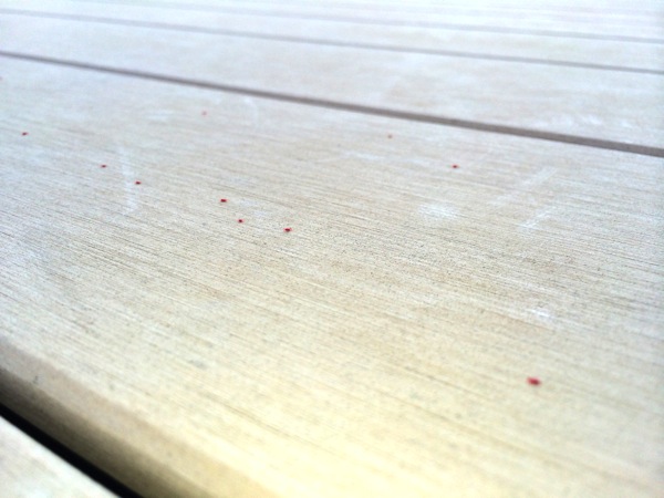 5月6月に大量発生！小さい赤いクモの正体はコイツだ！