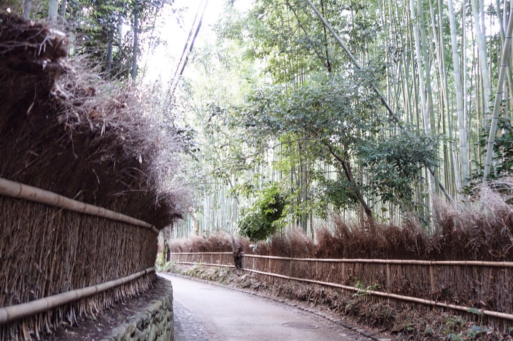 京都嵐山　観光日帰り旅行　竹林と食べ歩き編